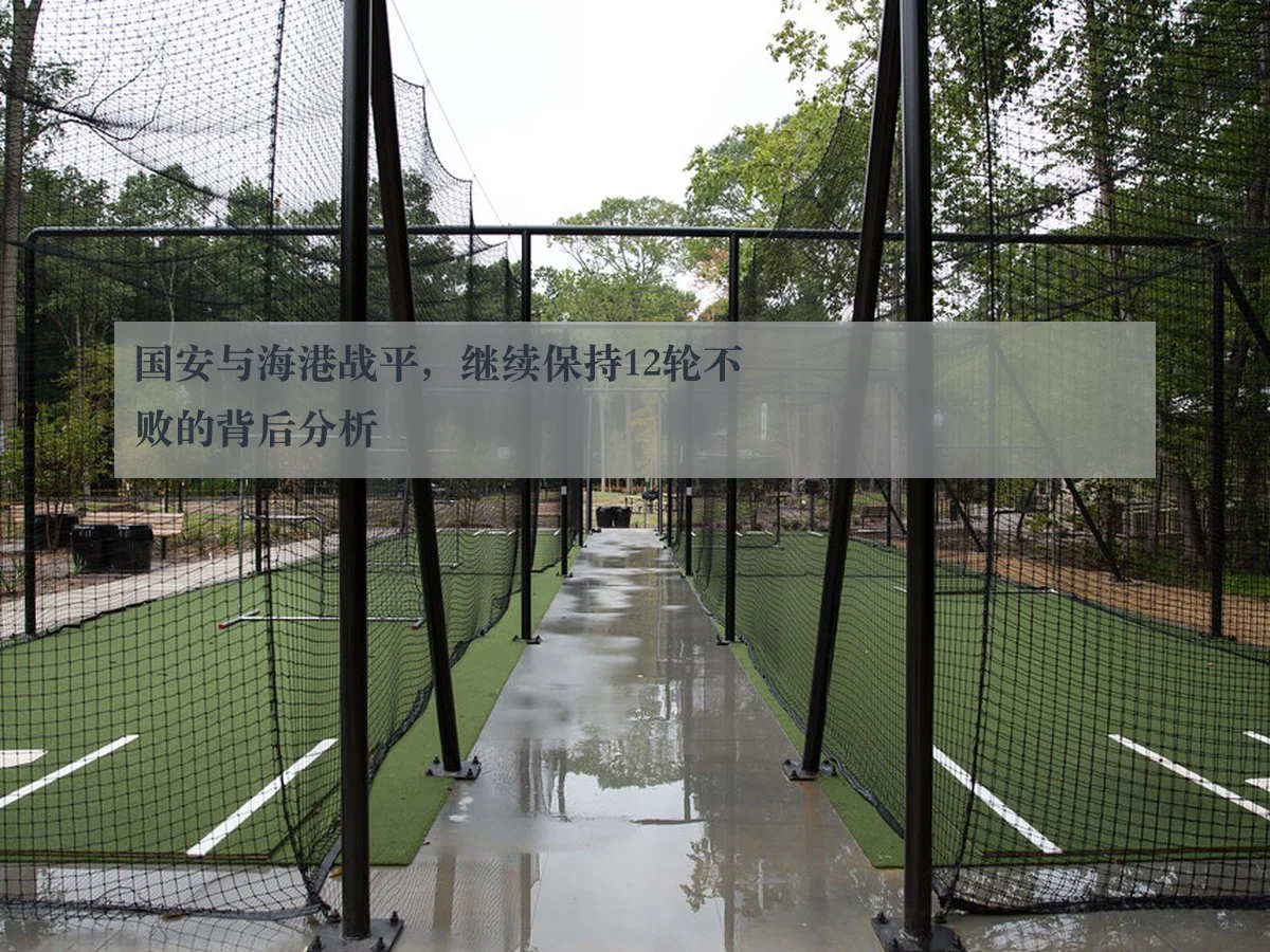 国安与海港战平,继续保持12轮不败的背后分析